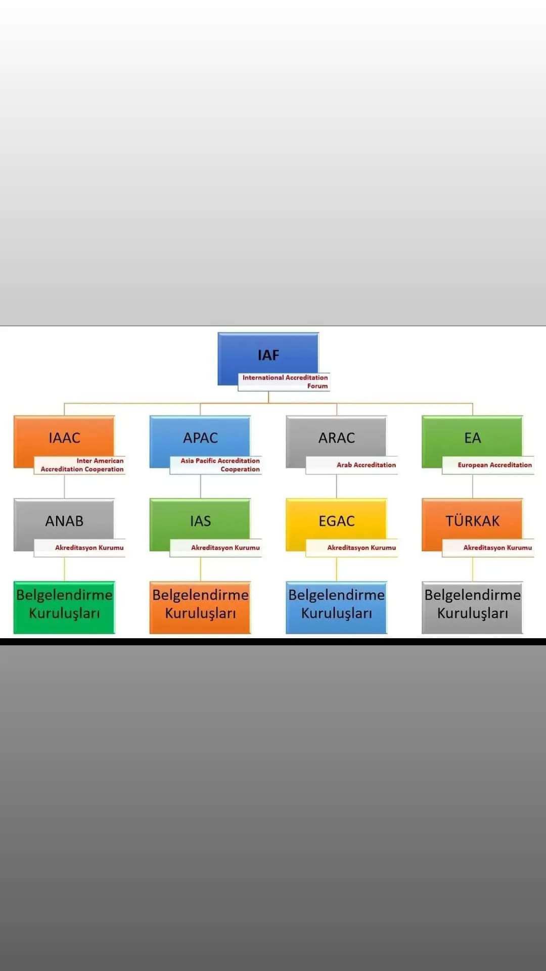 Samsun Belgelendirme